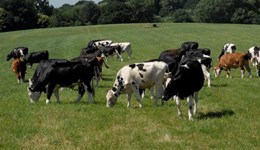 Developing Grass Expertise programme 2021-2022